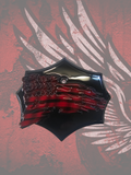 18+ Tattered flag themed Coil Cover