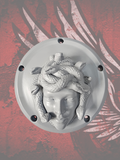 Harley Davidson Derby cover with Medusa