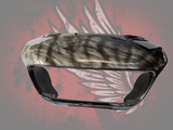 Road Glide Fairing Ghosted tattered American flag