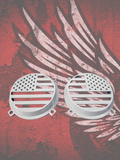 97-25+ Touring 3D American flag speakers grill covers set