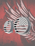 97-25+ Touring 3D American flag speakers grill covers set