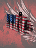Tattered American Flag horn cover