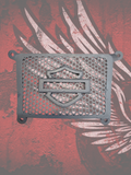 17 to 23 radiator grill shield theme