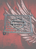 17 to 23 radiator grill shield theme