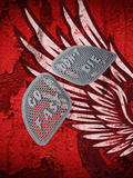 98 to 26+ Road Glide Go Fast Dont Die speakers grill covers sets