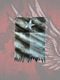 Draped Texas flag horn cover