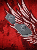 19 to 26+ Indian Chieftain webbed punisher inner speaker grills set