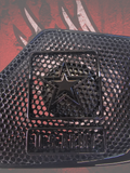 19 to 26+ Indian Chieftain Army themed inner speaker grills set