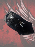 Punisher skull stretching through windshield