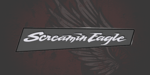 117 or 121 extreme heavy breather screaming eagle air cleaner insert