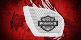 2024+ Road Glide 250 Anniversary speakers grill covers sets