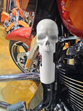 23.5 + radiator fill tube ancient skull sleeve