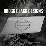 117 or 121  Heavy Breather air cleaner insert 3D shield