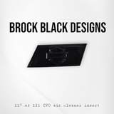 117 or 121  Heavy Breather air cleaner insert 3D shield