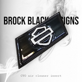 117 or 121  Heavy Breather air cleaner insert 3D shield