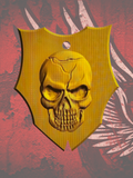 Skull flag coil cover