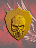 Skull flag coil cover