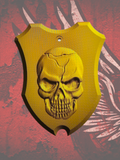 Skull flag coil cover