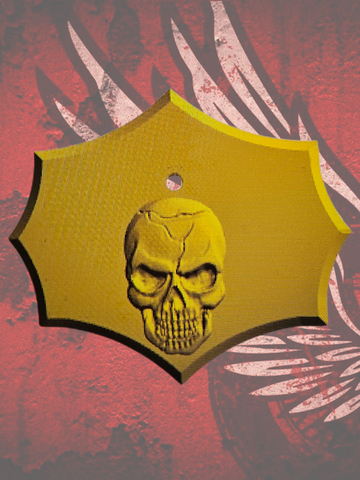 Skull flag coil cover