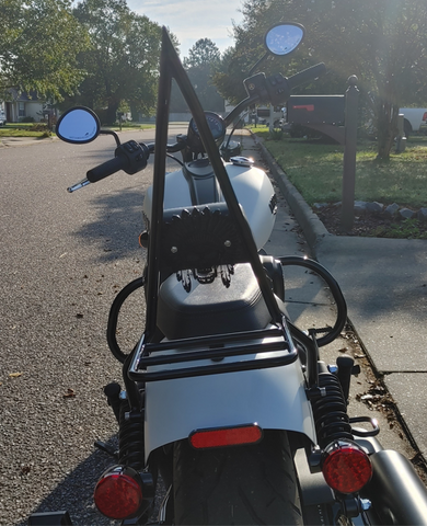 '22+ Indian Chief Wicked Sissy Bar