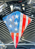 sportster American flag horn cover